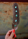 Turquoise Hat Feather